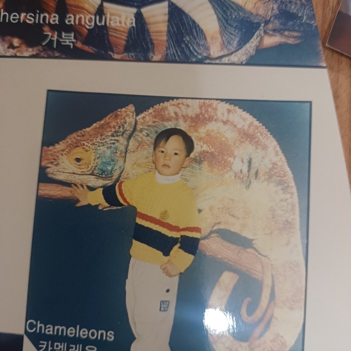 IM CRYING THESE ARE ALL SO PRECIOUS PLS 😭😭😭