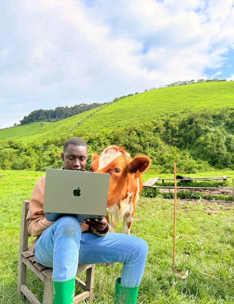 Ni agatangaza!

Just be creative, ibindi bizakora Imana.  Ndebera ubuhanga buri muri uyu mushumba wabanje kuragira iza se nako iri #Bere  <a href="/Ngabo_Karegeya/">IBERE RYA BIGOGWE🇷🇼</a> ubu akaba ari rugango rw'iza Bigogwe zose.

Keep it up bro!
I am your funny fan anyway <a href="/Abbey_K1/">Abbey K</a> <a href="/dr_dash250/">Dr. Dash</a> <a href="/oswaki/">Oswald Oswakim</a>