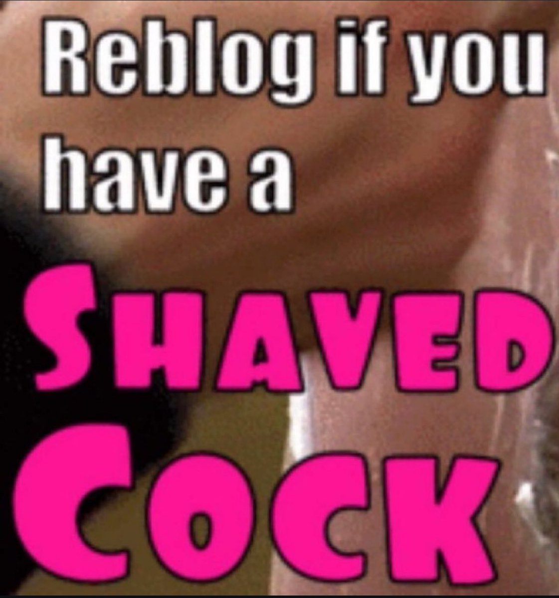 mistresssavages's tweet photo. #sissyboy💆#sissfication #bdsm reblog if you have a shaved cock https://t.co/aO5EjLNvxL