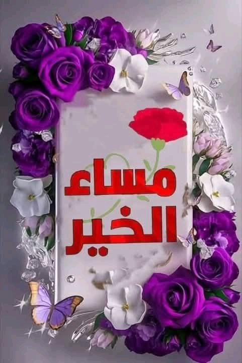 <a href="/tm19__T61/">ثامر العجيلي</a> مساء الورد