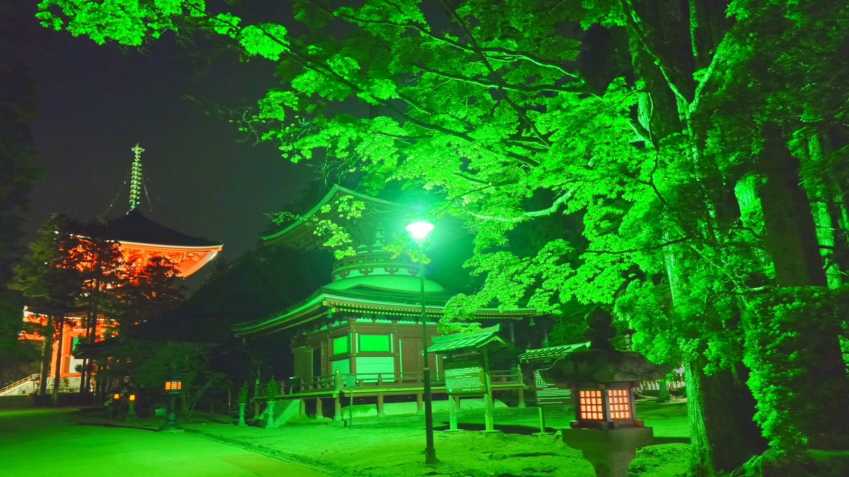 20時少し前の高野山です。

ちょうど良い涼しさで、夜のおさんぽを楽しむ人や、お坊さんがガイドをするナイトツアーの人たちもいました。

上空は曇っているのか、お星様は見えませんでした。
#高野山 #壇上伽藍