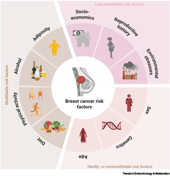 Trends_Endo_Met's tweet image. Online Now: Metabolomics-enabled biomarker discovery in breast cancer research dlvr.it/TKlxhX #trends #endocrinology #metabolism