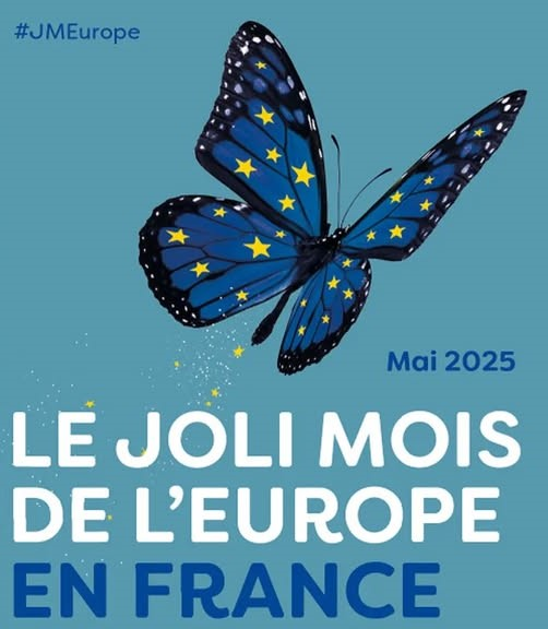 Pulse of Europe Toulouse #FBPE tweet media