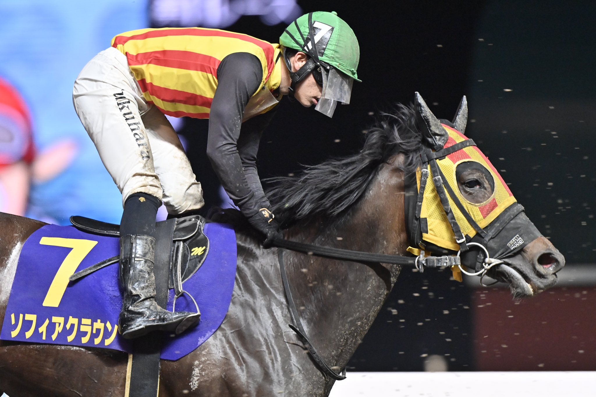 浦和競馬　勝負服　國分騎手サイン入り Amazon.co.jp: 浦和競馬 騎手 勝負服 タオル 競馬 地方競馬
