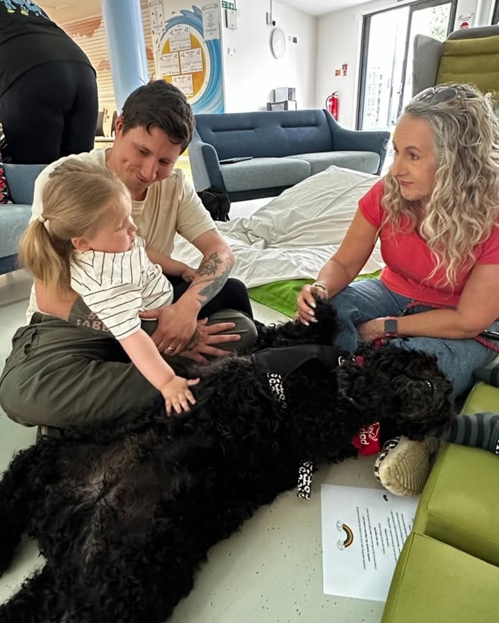 Here's a very relaxed Idris from @cariadpet taking full advantage of some lovely belly scratches from Dani-Rae! 🥰 #TherapyDog