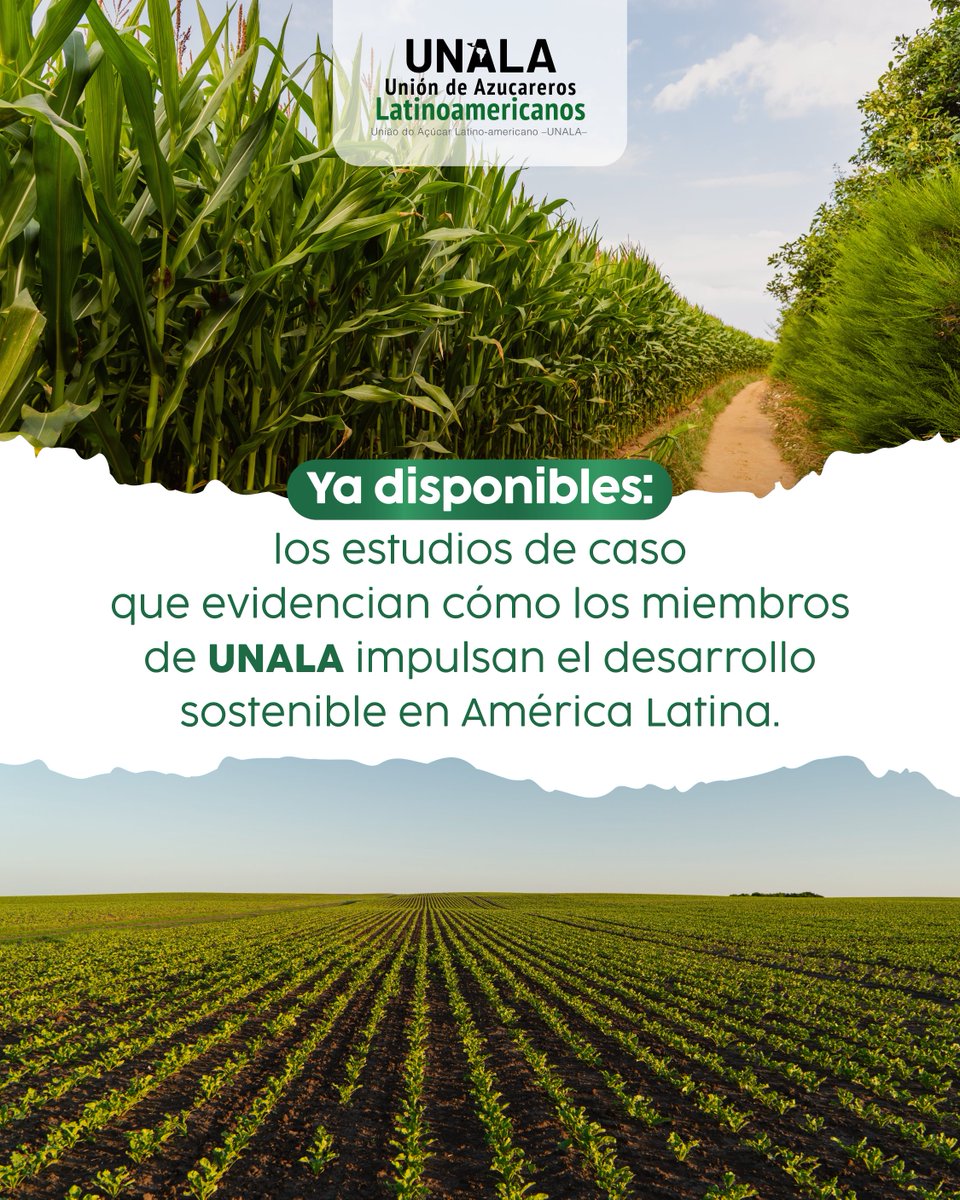 👉 ¡Grandes noticias! Ya puedes conocer los estudios de caso que muestran cómo los miembros de UNALA trabajan día a día para impulsar el desarrollo sostenible en América Latina. 🙌
Los documentos están disponibles en el siguiente enlace: unala.org/publications/