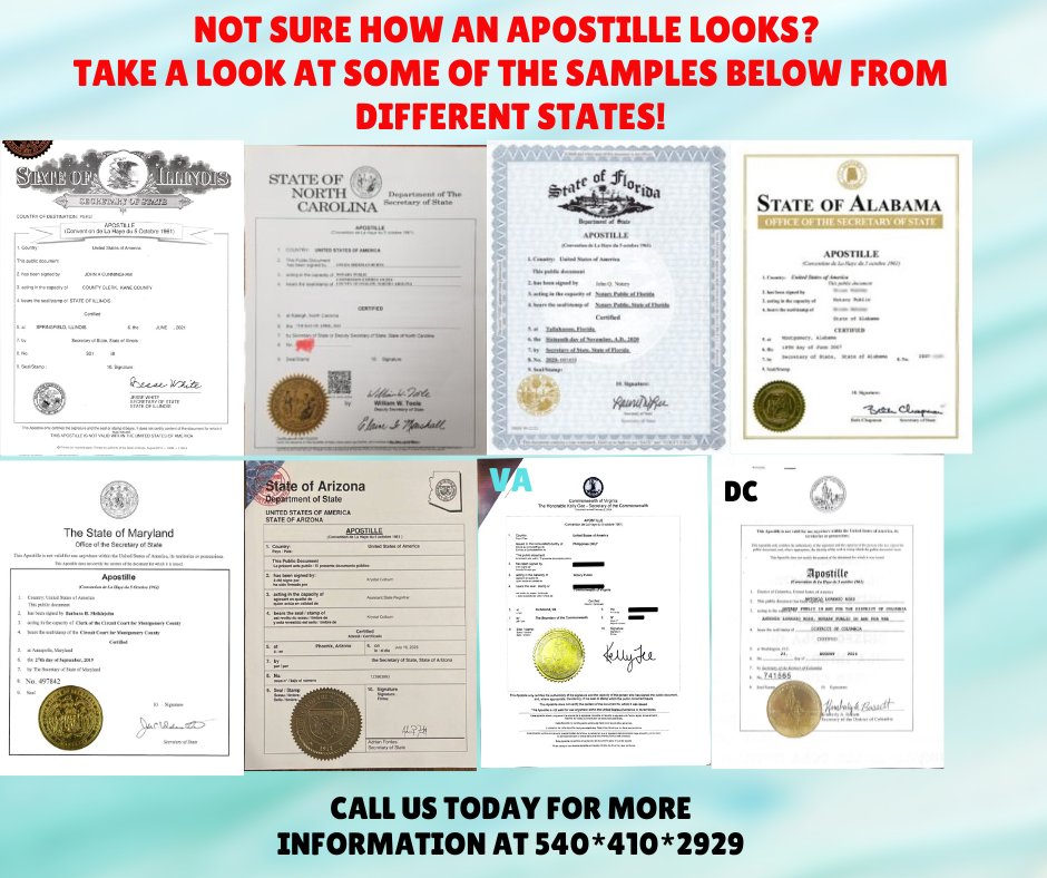 The Notary Seal tweet media