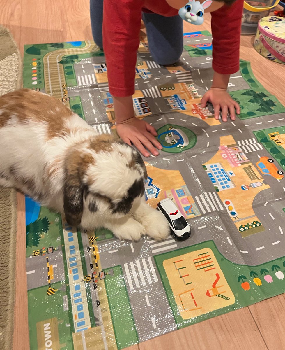 パトカー通れない🚓🚧