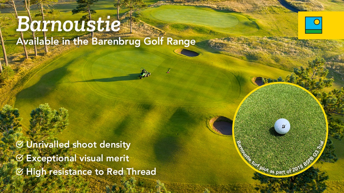 Barenbrug UK (@barenbruguk) on Twitter photo From the links at <a href="/carnoustiegolf/">Carnoustie Golf Links</a> to the greens of the future.
Barnoustie – our next-gen slender creeping red fescue, bred for shoot density, visual merit & disease resistance.
Available now in the Barenbrug #Golf Range: barenbrug.co.uk/sports/golf/pr…
#Barnoustie #GolfCourse From the links at <a href="/carnoustiegolf/">Carnoustie Golf Links</a> to the greens of the future.
Barnoustie – our next-gen slender creeping red fescue, bred for shoot density, visual merit & disease resistance.
Available now in the Barenbrug #Golf Range: barenbrug.co.uk/sports/golf/pr…
#Barnoustie #GolfCourse