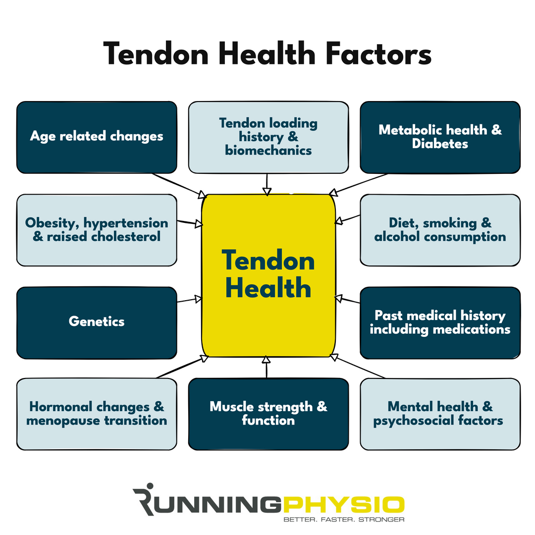 Tendon health is multifaceted and many of the factors can potentially be targets for treatment. It’s important to recognise this bigger picture, especially in complex tendinopathy cases that aren’t improving as expected.