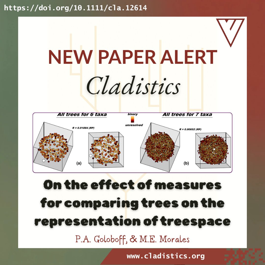 CladisticsAlert's tweet image. ⚠️#NewPaperAlert🖥️
𝗢𝗻 𝘁𝗵𝗲 𝗲𝗳𝗳𝗲𝗰𝘁 𝗼𝗳 𝗺𝗲𝗮𝘀𝘂𝗿𝗲𝘀 𝗳𝗼𝗿 𝗰𝗼𝗺𝗽𝗮𝗿𝗶𝗻𝗴 𝘁𝗿𝗲𝗲𝘀 𝗼𝗻 𝘁𝗵𝗲 𝗿𝗲𝗽𝗿𝗲𝘀𝗲𝗻𝘁𝗮𝘁𝗶𝗼𝗻 𝗼𝗳 𝘁𝗿𝗲𝗲𝘀𝗽𝗮𝗰𝗲
By Goloboff, &amp;amp; Morales

doi.org/10.1111/cla.12…

#Cladistics #Phylogenetics #TreeDistances #Bioinformatics #STEM