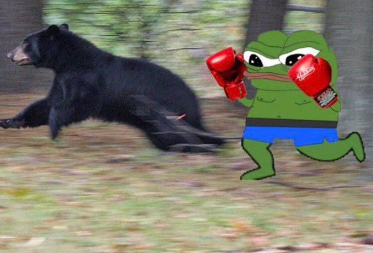 Mi don't need 99 frens, come here bear!