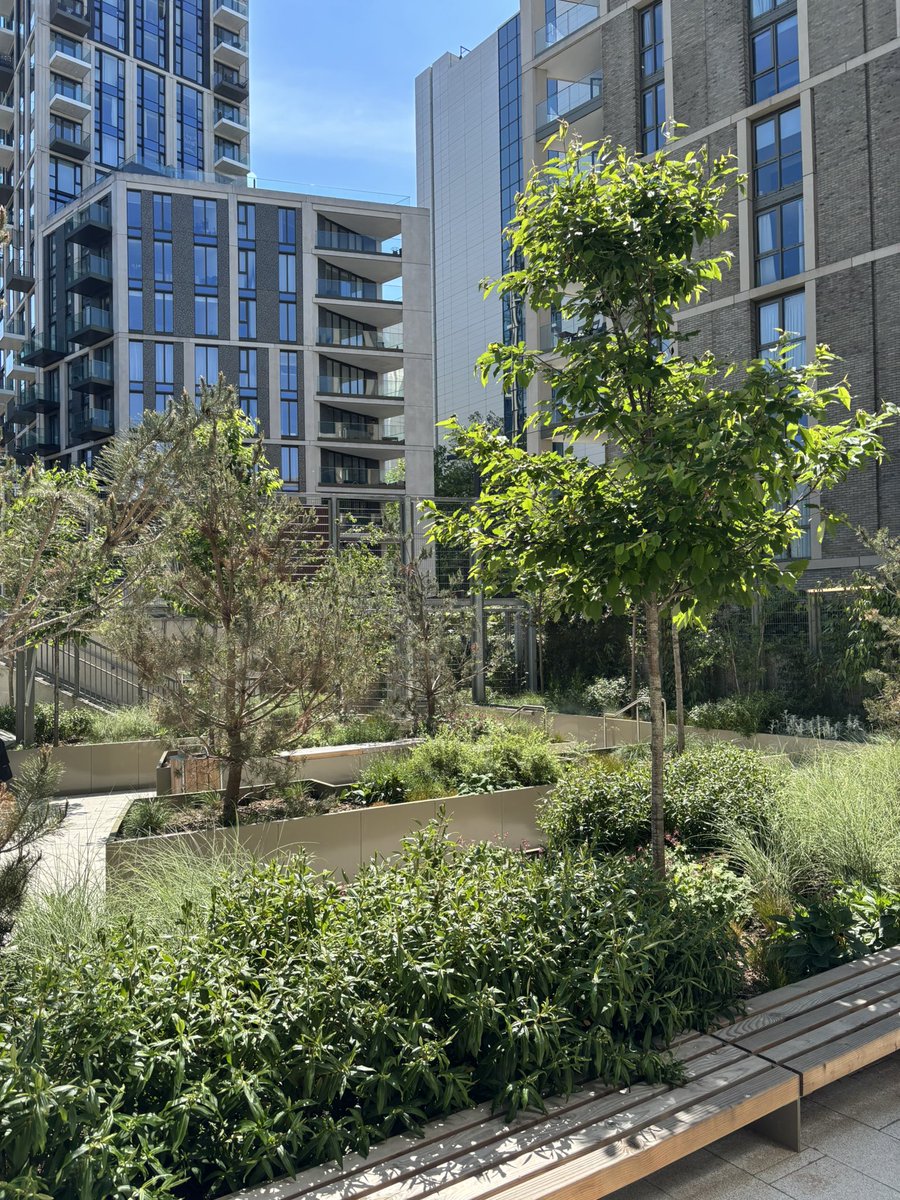 MulberryLondonDock (@mulberrydock) on Twitter photo Clear skies and brilliant sunshine <a href="/MulberryDock/">MulberryLondonDock</a> today. Students are outside this lunchtime enjoying the green spaces and taking part in different sporting activities. 🌞 Clear skies and brilliant sunshine <a href="/MulberryDock/">MulberryLondonDock</a> today. Students are outside this lunchtime enjoying the green spaces and taking part in different sporting activities. 🌞