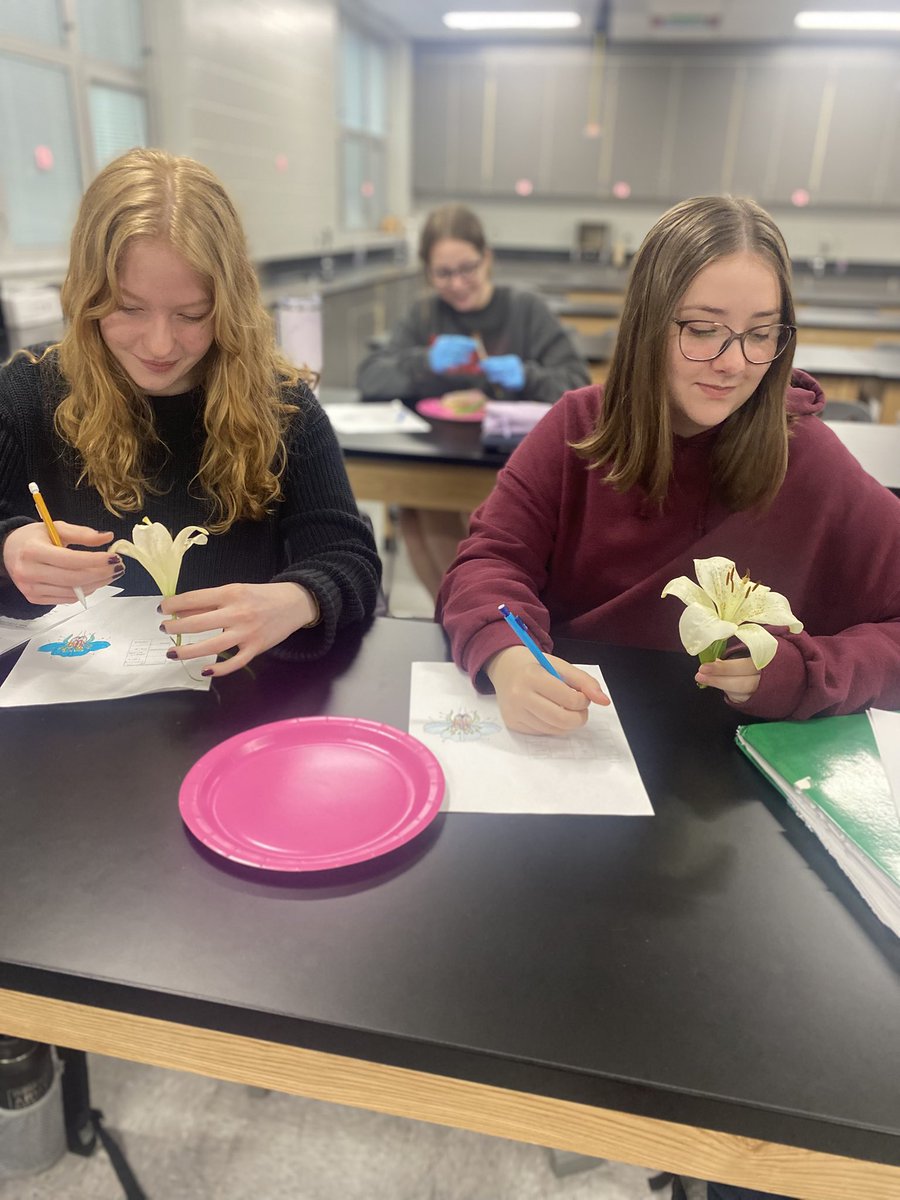 Flower dissection day in DC Bio! 🌸