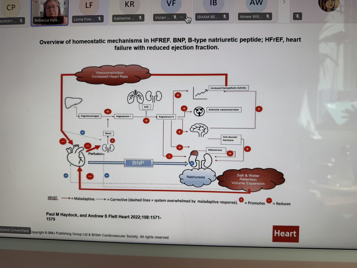 After a quick lunch break, we have given a warm welcome to <a href="/BeckyHyland3/">BeckyHyland</a> , Nurse Consultant in Heart Failure outlining relevant prescribing considerations