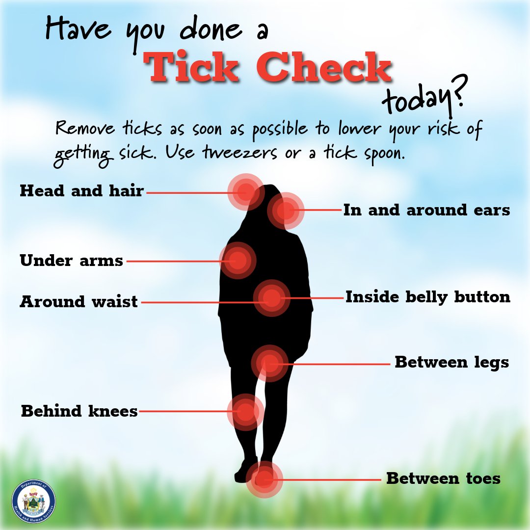 Maine CDC tweet media