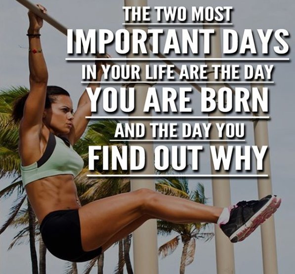 FiveFitness's tweet image. The day you find your purpose in life is the most magical experience you can imagine. Whatever your WHY is, that's who you need to become. Don't settle for something that doesn't light a fire inside of you..
#Passion #Purpose #Goals #Dreams #Life #Motivation #Gym