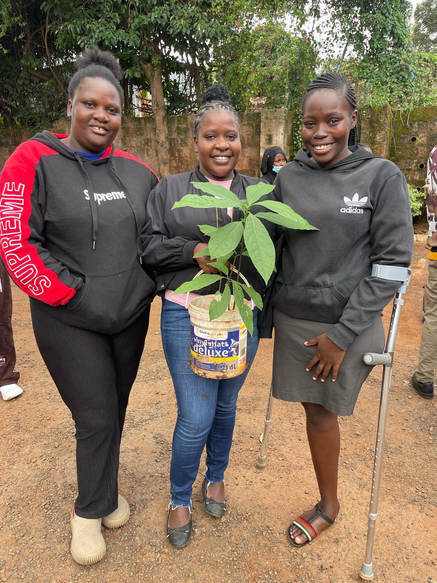 Gifted Community Center, GCC (@giftedpwdcentre) on Twitter photo With thanks to <a href="/IrlEmbKenya/">Embassy of Ireland</a>, thro’ our i3 project, we are innovatively empowering youth with disabilities on climate justice. We unclog drainages by collecting&re-using/recycling plastics, utilizing small spaces in slums for farming & advocating for inclusive climate #policies. With thanks to <a href="/IrlEmbKenya/">Embassy of Ireland</a>, thro’ our i3 project, we are innovatively empowering youth with disabilities on climate justice. We unclog drainages by collecting&re-using/recycling plastics, utilizing small spaces in slums for farming & advocating for inclusive climate #policies.