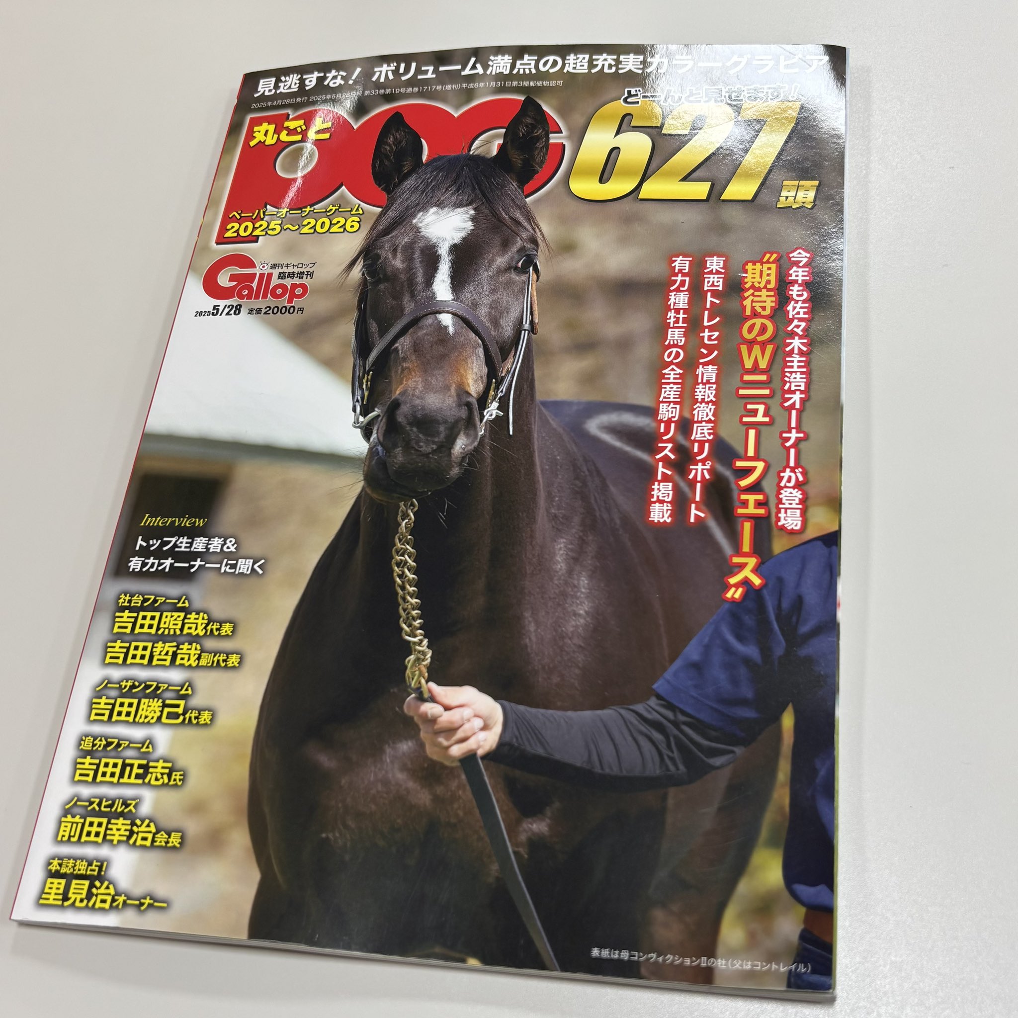 Amazon.co.jp: 競馬エイト'98秋冬 : Video Games
