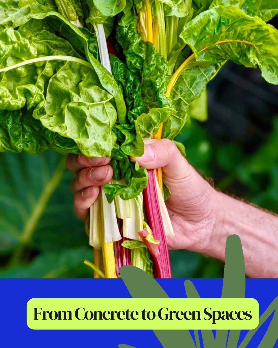 In Camden, Foodscape is turning urban spaces into hubs for food-growing education. From primary schools to community gardens, their work promotes sustainability and resilience in under-resourced areas.
🌾 Food, education and nourishment for a greener tomorrow.
#UrbanFarming