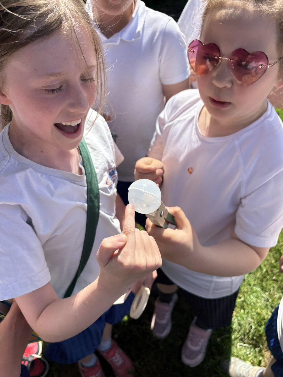 As part of our science topic, Year 4 have enjoyed bug hunting in Compton Park 🐞🐛🦟🐜🕷️