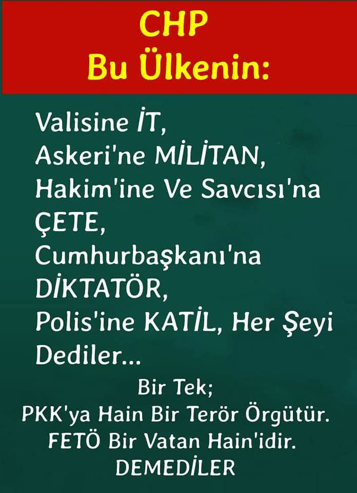 Ali Özlük (@alizlk12) on Twitter photo 