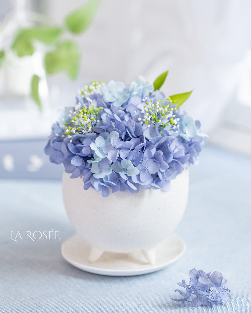 laroseeflower's tweet photo. Something Blue 💙🍃

気持ちをリフレッシュさせてくれるアナベルアジサイのアレンジメント。

#プリザーブドフラワー #アジサイ 
#花ギフト #オン��インショップ 
#preservedflower #hydrangeas https://t.co/dRKP2tQMZv