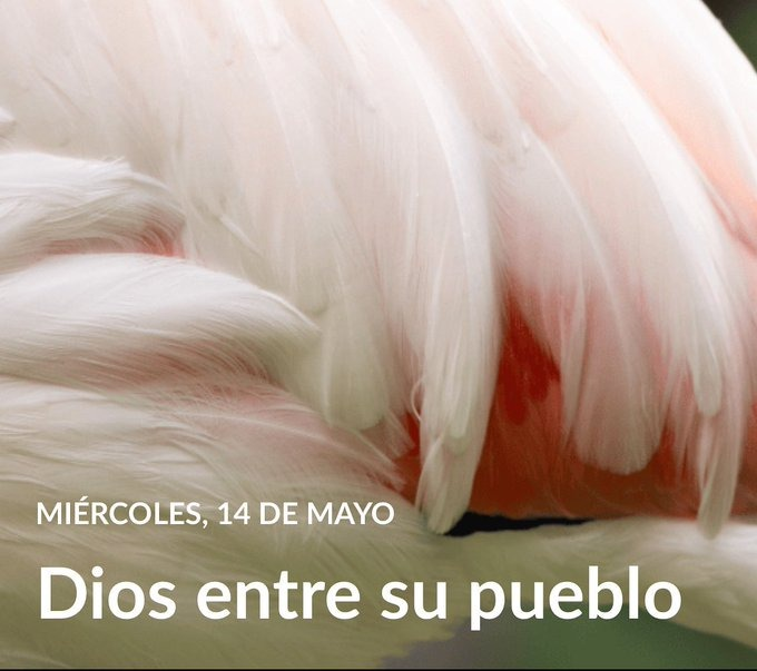 ✅ Dios siempre quiere habitar en medio de su pueblo

✅ Dios siempre quiere que su pueblo ande decentemente y en orden

✅ Dios siempre quiere acercar a la humanidad a su trono

#PastorLeonel #YoEstudioMiLección #PrimeroDios