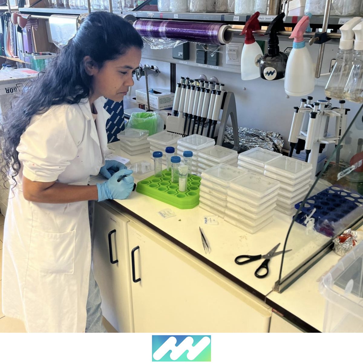 iPlantMicro Lab (@iplantmicro) on Twitter photo Challenge accepted! We're collaborating with <a href="/biostimulators/">Biostimulators IHSM</a> to detect and define exudates in Arabidopsis! Let see how they 'talk' to their microbiota 🧪🦠🌱 <a href="/itqbnova/">ITQB NOVA</a> <a href="/greenit_bio4sus/">GREEN-IT</a> <a href="/IHSM_CSIC_UMA/">IHSM La Mayora</a> <a href="/istecnico/">Instituto Superior Técnico</a> Challenge accepted! We're collaborating with <a href="/biostimulators/">Biostimulators IHSM</a> to detect and define exudates in Arabidopsis! Let see how they 'talk' to their microbiota 🧪🦠🌱 <a href="/itqbnova/">ITQB NOVA</a> <a href="/greenit_bio4sus/">GREEN-IT</a> <a href="/IHSM_CSIC_UMA/">IHSM La Mayora</a> <a href="/istecnico/">Instituto Superior Técnico</a>