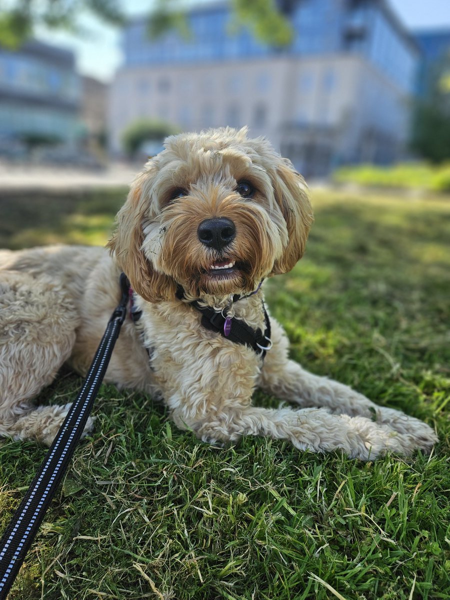 Her little happy face 🥰 Best way to spend my morning before a run of 3 nightshifts 😴😴