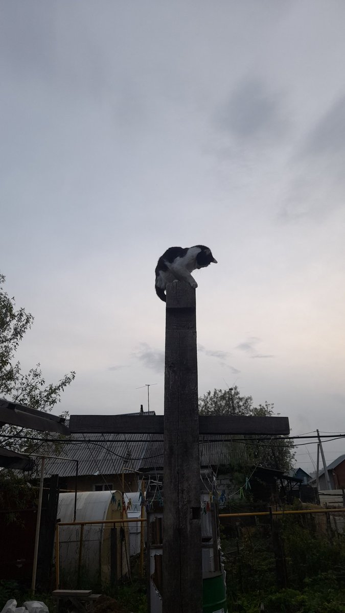 Офелия на столбе