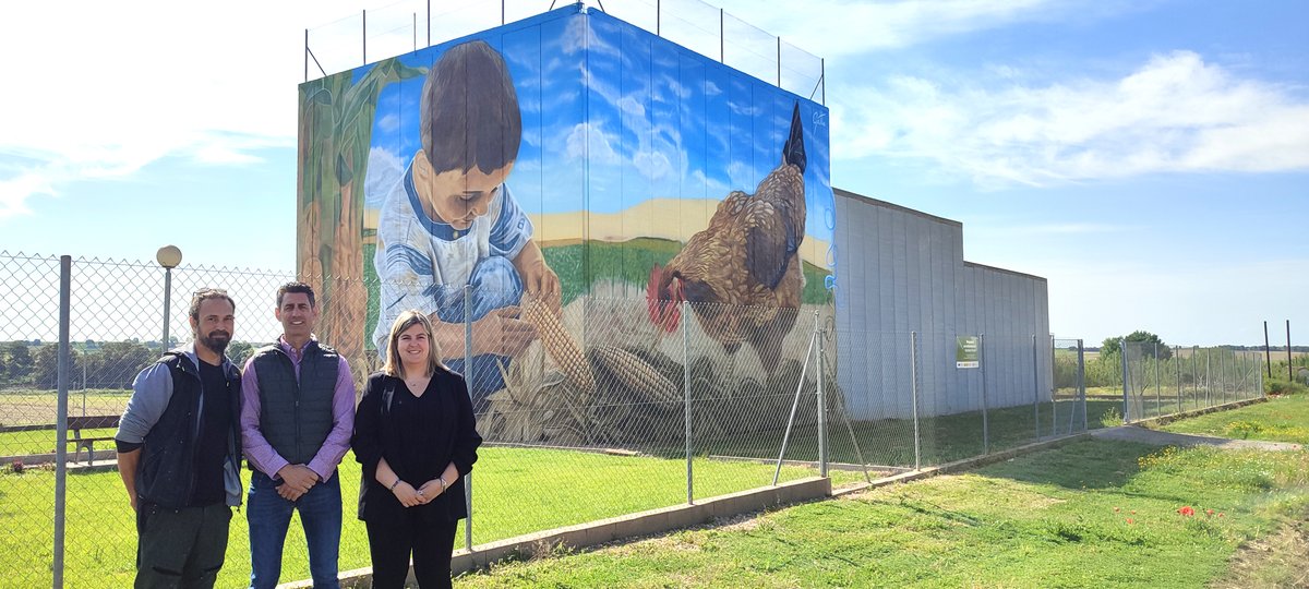 ¡Murarte llega a Torres de Alcanadre! 🎨 Un nuevo mural esquinero juega con tu perspectiva: gallina 🐔, maíz 🌽y niño 🧒. ¡La escena cambia según miras! Un homenaje a la vida rural y la belleza cotidiana. ✨
#TorresDeAlcanadre #Murarte #ArteRural #Somontano #Huesca