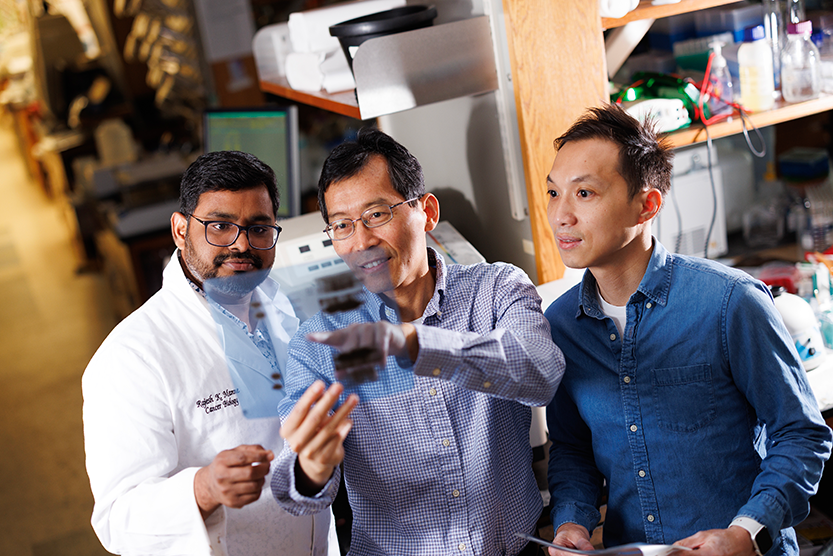 Duke University School of Medicine (@dukemedschool) on Twitter photo A study led by #DukeMed cancer researcher Hui-Kuan Lin, PhD, reveals cancerās weak spot ā a protein that helps cells make energy and stops cancer from growing.
š Read more about the innovative work being done in Lin's lab: medschool.duke.edu/news/how-littlā¦
<a href="/DukePathDept/">DukePathDept</a> | <a href="/Duke_PCB/">Duke Pharmacology & Cancer Biology Department</a> A study led by #DukeMed cancer researcher Hui-Kuan Lin, PhD, reveals cancerās weak spot ā a protein that helps cells make energy and stops cancer from growing.
š Read more about the innovative work being done in Lin's lab: medschool.duke.edu/news/how-littlā¦
<a href="/DukePathDept/">DukePathDept</a> | <a href="/Duke_PCB/">Duke Pharmacology & Cancer Biology Department</a>