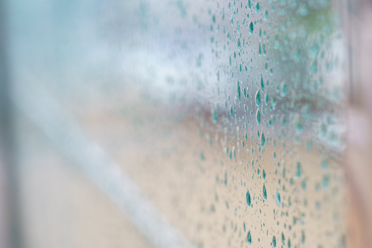 pic_osamu314159's tweet image. 雨ん時の写真ええなぁ。

使用レンズ　PENTACON 50mm F1.8
#PENTACON
#sony #sonyalpha
#スナップ写真
#カメラマンさんと繋がりたい
#Photograph
#カメラのある生活