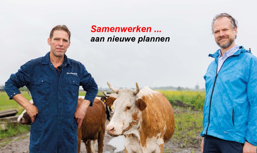 DelflandMidden's tweet image. Samenwerken aan nieuwe plannen #biologische #melkveehouder Dirk Gravesteyn zoekt de verbinding met de omgeving voor zijn plannen zoals met @Rdamdeboerop voor een #voedselmoeras #DuurzaamBoerBlijvenMagazine middenindelfland.net/inspiratie-det…