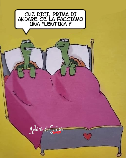 AdoroilGenio's tweet photo. ADORO IL GENIO - LA RAFFICHETTA
Questa la dedichiamo agli #animalifantastici.
#adoroilgenio #14maggio #raffichetta #laraffichetta #animali #pets #gatti #cats #muppetshow #muppets #vignette #comics #comic #fumetto #fumetti #sveltina #tartarughe #cappelli #western #copricapo https://t.co/ycMINQJ5uG