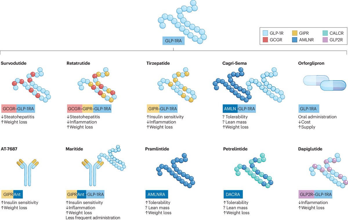 Nature Reviews Drug Discovery (@natrevdrugdisc) on Twitter photo For readers interested in GLP-1-based therapies for obesity, diabetes, metabolic liver disease, hypertension, neurodegenerative disorders and more, here's a comprehensive review nature.com/articles/s4157…
rdcu.be/el0Ga For readers interested in GLP-1-based therapies for obesity, diabetes, metabolic liver disease, hypertension, neurodegenerative disorders and more, here's a comprehensive review nature.com/articles/s4157…
rdcu.be/el0Ga