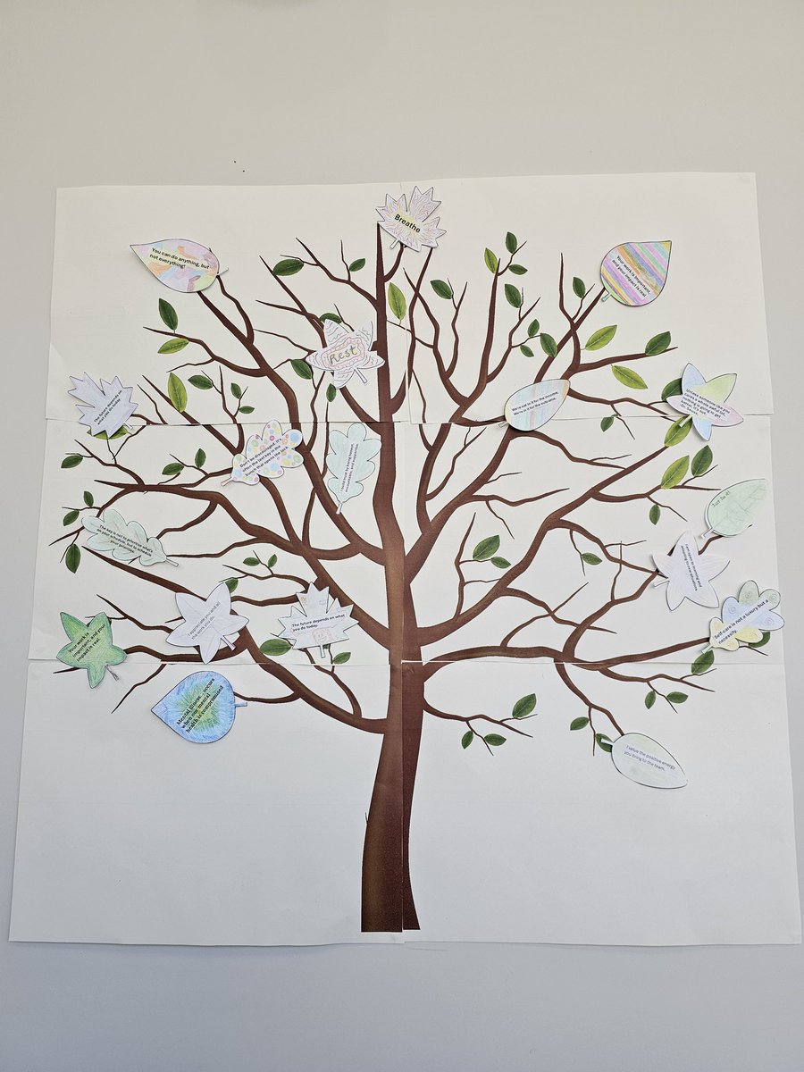 Thank you to all who organised, contributed and participated in our Special Wellbeing Wednesday. Let's get together for good mental health. We have had mindfulness activities available all week and a see of green today for a together lunch. #MentalHealthAwarenessWeek