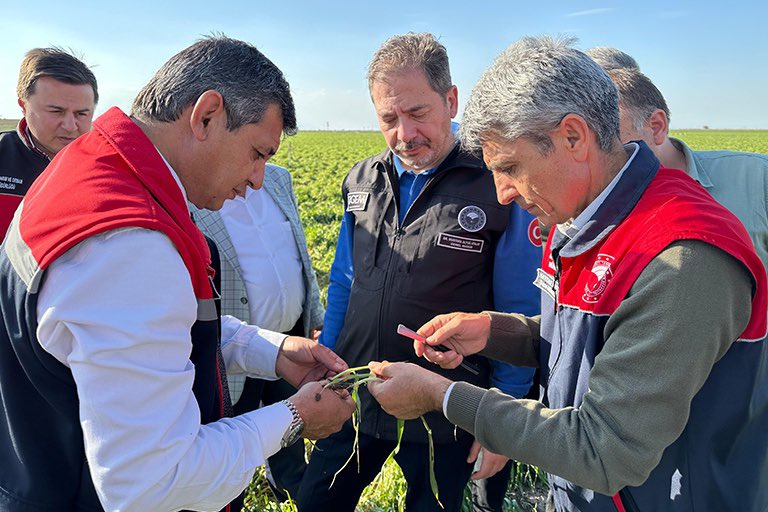 🌱 TAGEM Tarımsal üretimde zirai don olaylarına karşı bilinçli adımlar atıyor! 

❄️ Tarımsal Araştırmalar ve Politikalar Genel Müdürlüğü’ne bağlı 12 araştırma enstitümüz, 53 ilde İl Tarım ve Orman Müdürlükleri ile iş birliği içinde, uzman araştırmacılarla birlikte zirai don