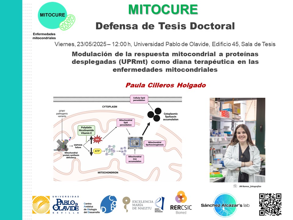 JOSE ANTONIO SANCHEZ (@alcazar156) on Twitter photo 