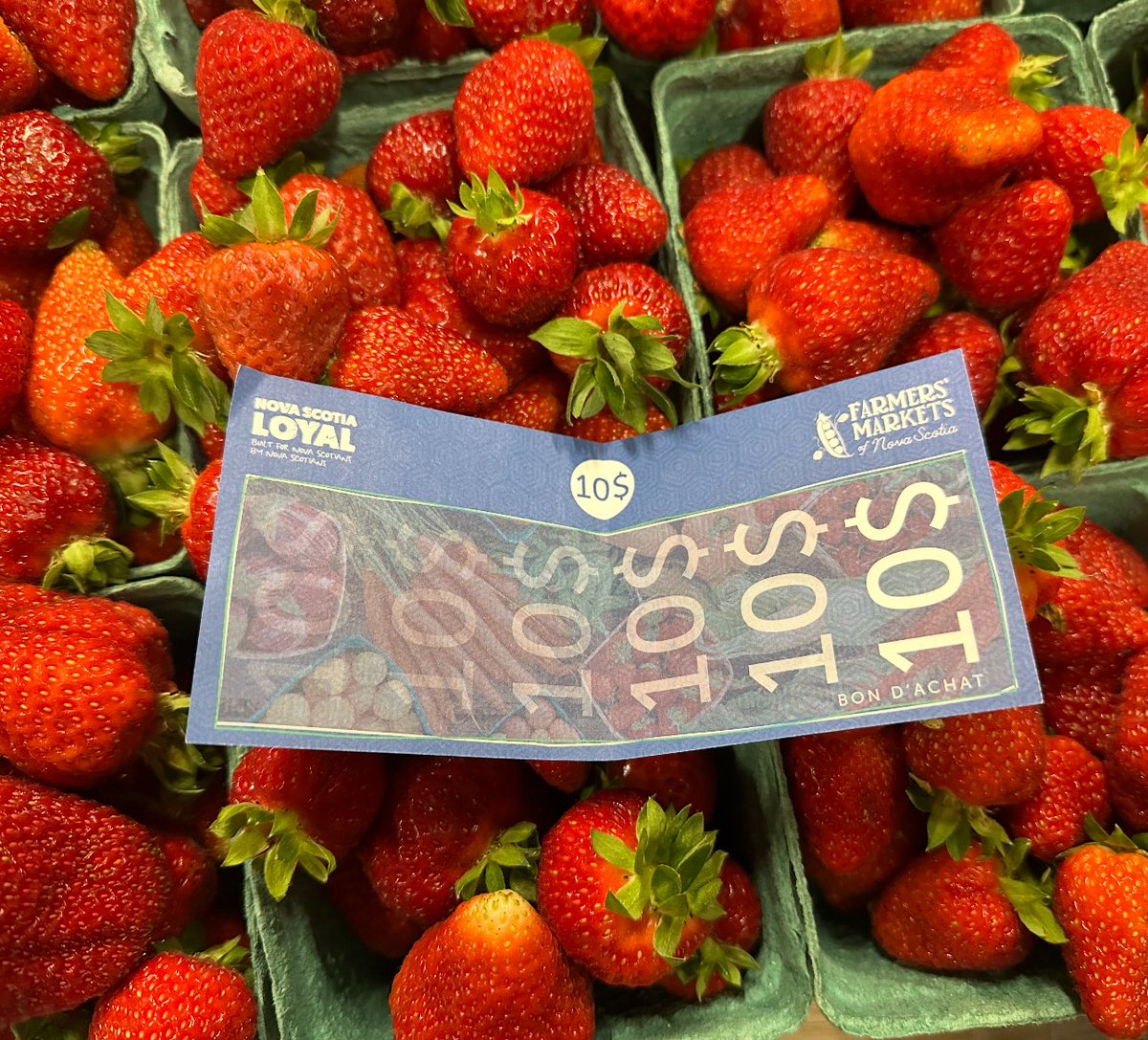 Farmers’ Market Voucher Program Returns, Expands news.novascotia.ca/en/2025/05/14/…

Retour et expansion du programme de bons pour marchés fermiers news.novascotia.ca/fr/2025/05/14/…