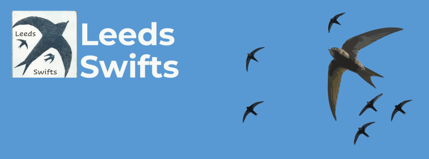 StartBirding's tweet photo. They're here! - *|https://t.co/pNvnR2RCRb|* https://t.co/EztTVnoXto