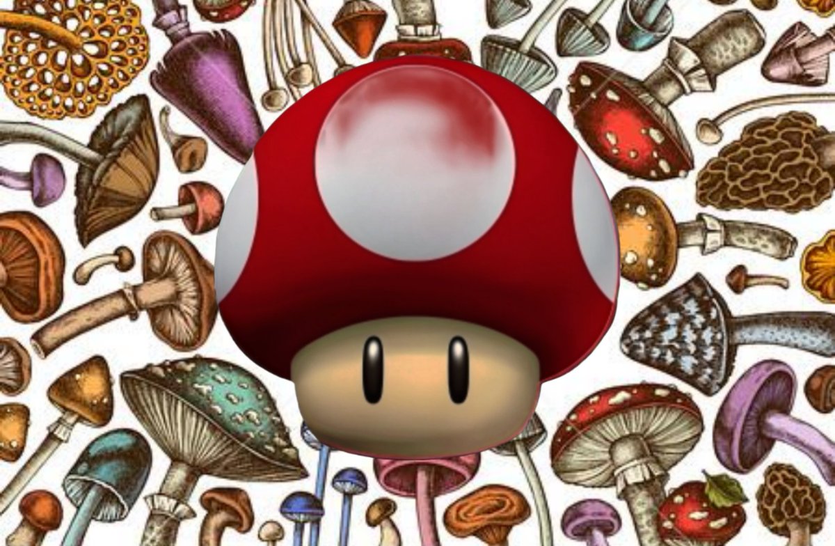 #เทส เทส Run test 🍄 ⚡🔥 MCT8429