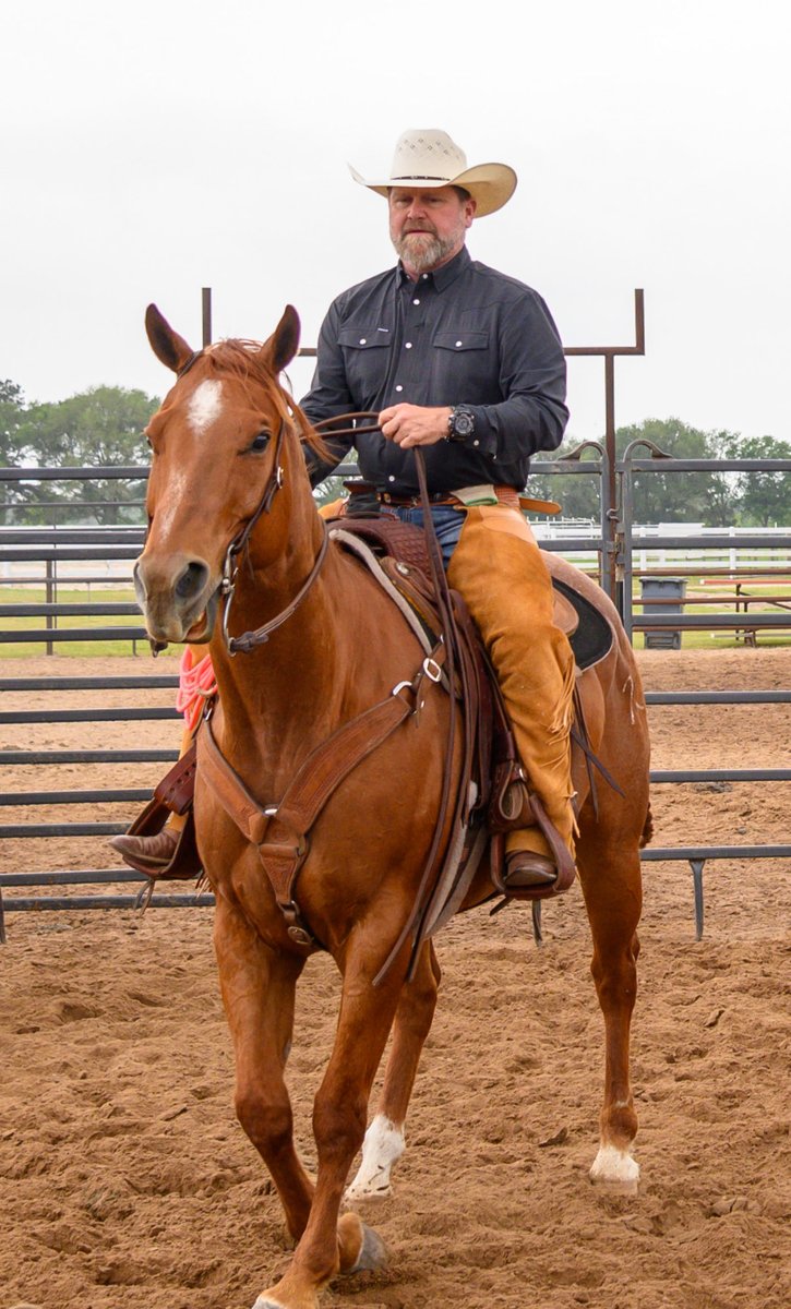 jimmy_guinn's tweet image. It’s that time of year again!  Sorting calves, cutting and branding!  

#Ranch #Sorting #Branding ⁦@AQHA⁩ ⁦@AQHAJournal⁩ #horses