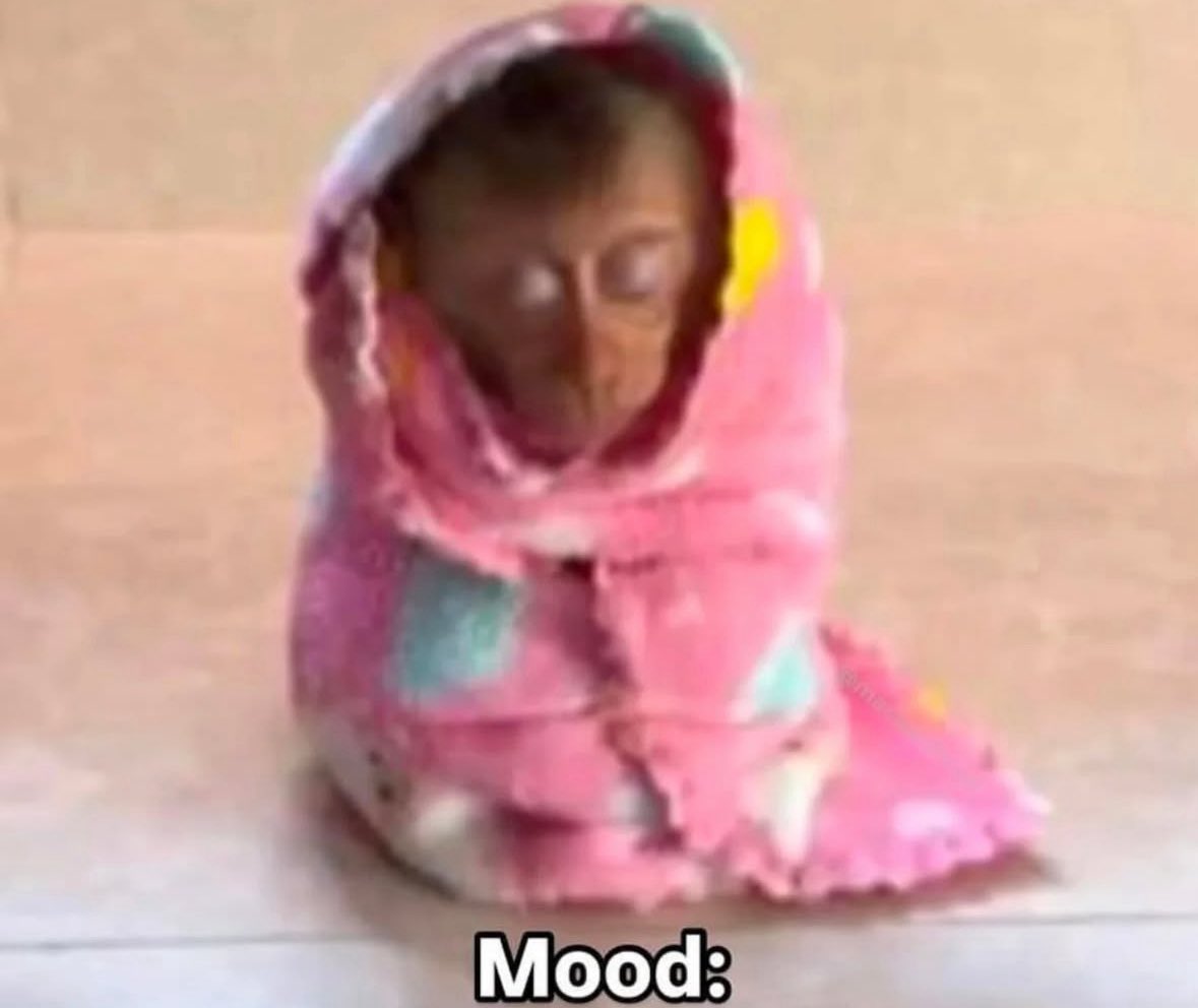 💖 (@twaniimals) on Twitter photo 