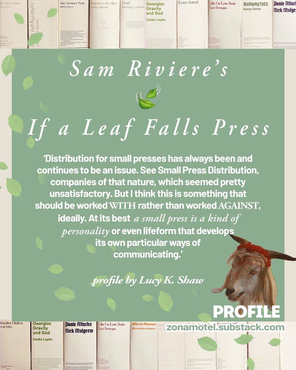 every day there's something incredible going up on zonamotel.substack.com, and i am so happy and honored to be a part of it by making these visuals for insta (@ zona.motel). oh my god.