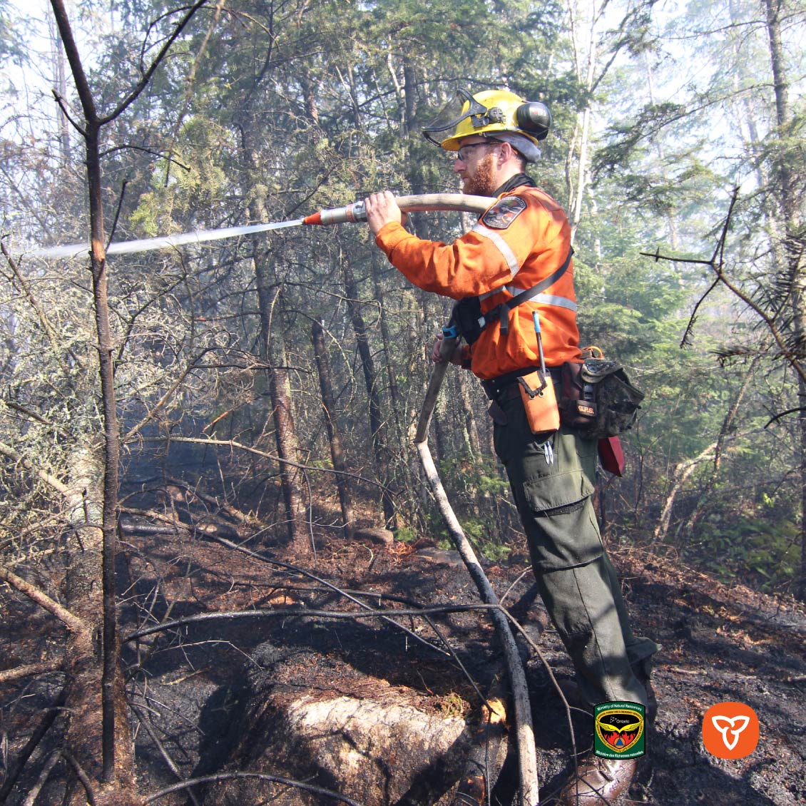 Ontario Forest Fires (@onforestfires) on Twitter photo 18 wildland fires are active across Ontario in various stages of control: 6 in the Northeast Region and 12 in the Northwest Region. The largest active wildland fire is Kenora 20 at 8000 hectares. For the latest updates and to see the fire hazard near you: lioapplications.lrc.gov.on.ca/ForestFireInfo… 18 wildland fires are active across Ontario in various stages of control: 6 in the Northeast Region and 12 in the Northwest Region. The largest active wildland fire is Kenora 20 at 8000 hectares. For the latest updates and to see the fire hazard near you: lioapplications.lrc.gov.on.ca/ForestFireInfo…