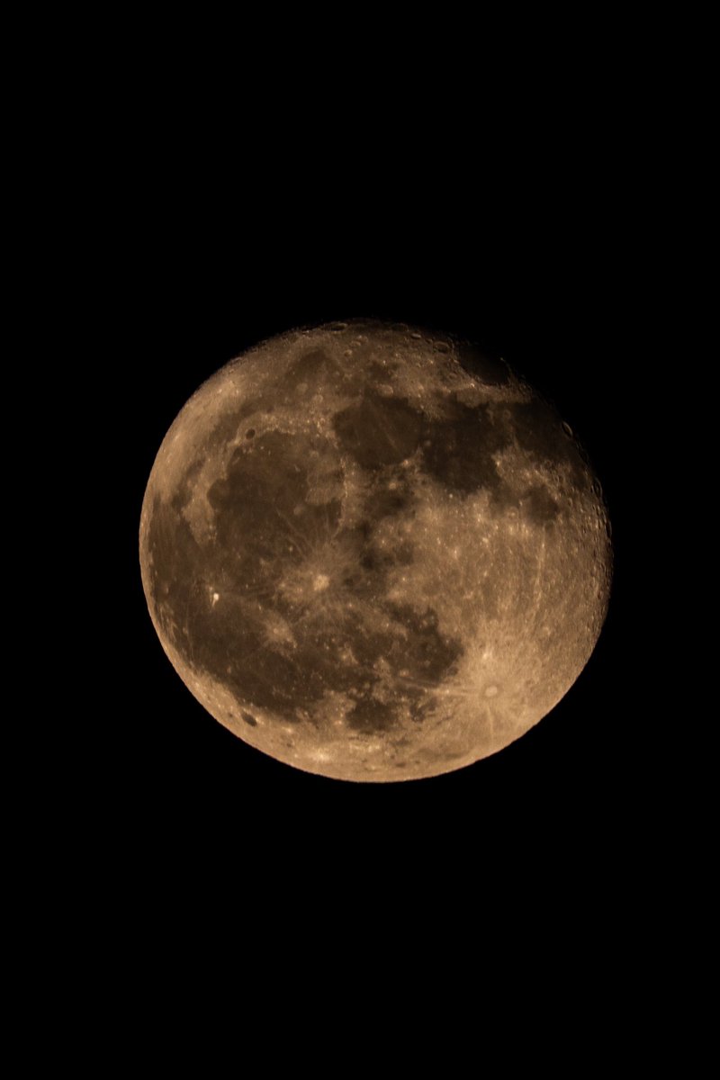 本日のお月様 - Search / X