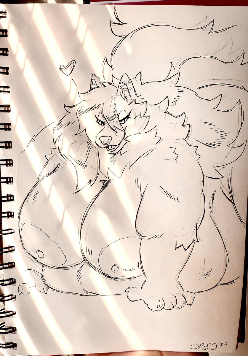 valentine 💖🐺 tweet media