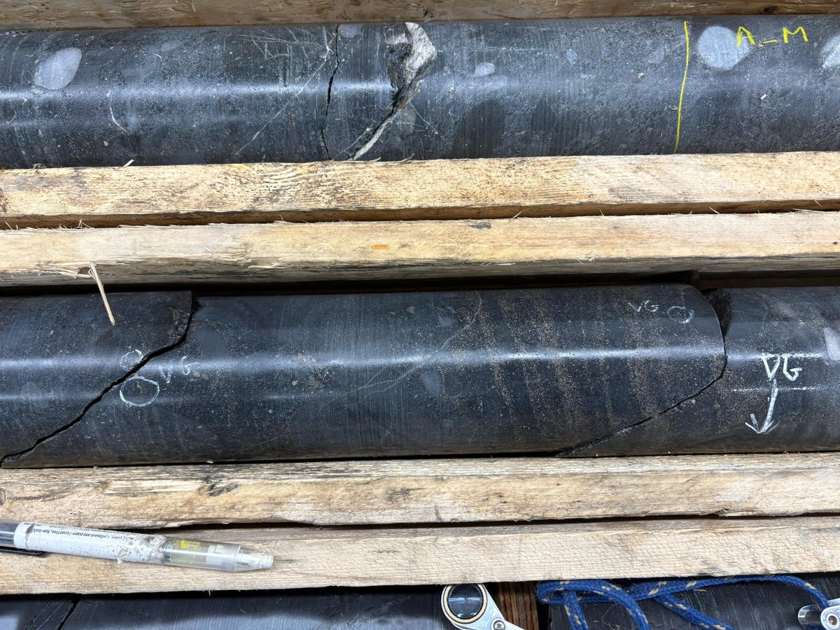 InventusMining's tweet image. Update from the Pardo Gold Project: Grade control drilling by @ForageFusion at the 007 Bulk Sample site is nearly complete, with strong early signs. This key step advances our 2025 bulk sampling, backed by @McEwenMining. Stay tuned! #PardoProject #Mining